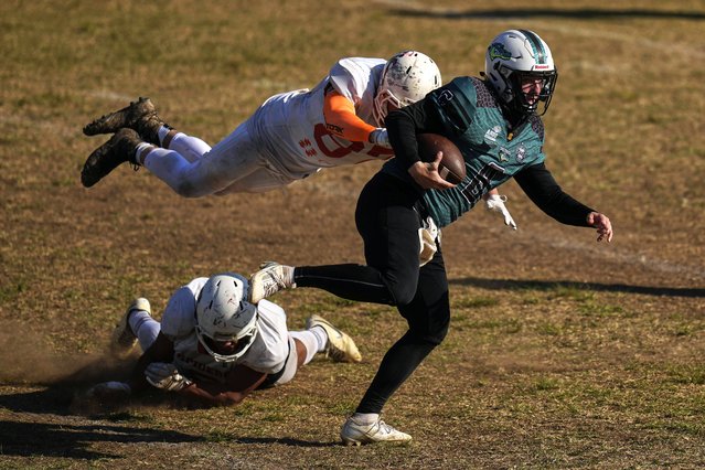 The Coritiba Crocodiles' Nick Rooney evades defending players during a football game against the Brown Spiders in Curitiba, Brazil, Sunday, August 17, 2025. (Photo by Andre Penner/AP Photo)