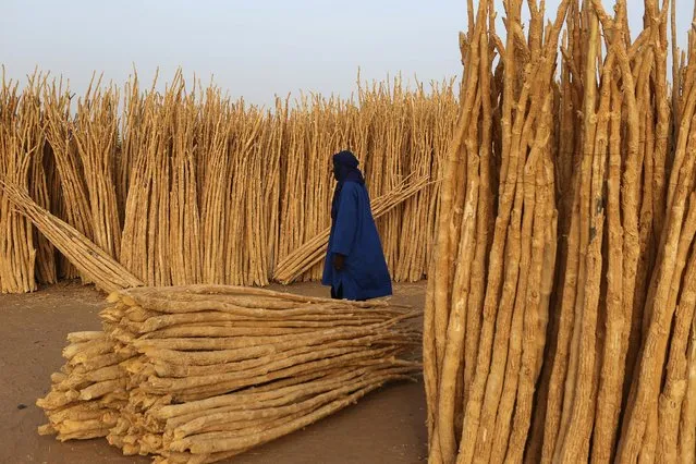 A man walks by wood for sale in Agadez, Niger, May 10, 2016. (Photo by Joe Penney/Reuters)