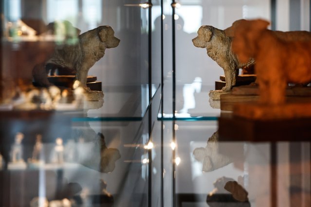 Statuettes and sculptures of dogs on display at “Le musée du chien de la Centrale Canine” (The Centrale Canine – Dog Museum), in Aubervilliers near Paris, France, 17 July 2025. The museum is the first in France to be entirely dedicated to dogs, and the world's second largest after New York's. It was inaugurated in May 2025 and offers visitors a look into the role of dogs in history, art, and daily life, through rare objects, artworks, and cultural exhibits. (Phoot by Mohammed Badra/EPA)