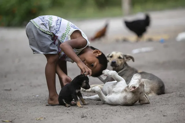 A Guarani boy pets a puppy in the Mata Verde Bonita village, in Marica, Rio de Janeiro state, Brazil, Thursday, February 25, 2020, where healthcare workers are making the rounds with coolers containing doses of China's Sinovac COVID-19 vaccine as part of a mass immunization program aimed at inoculating all of Rio's 16 million residents by the end of the year. (Photo by Bruna Prado/AP Photo)