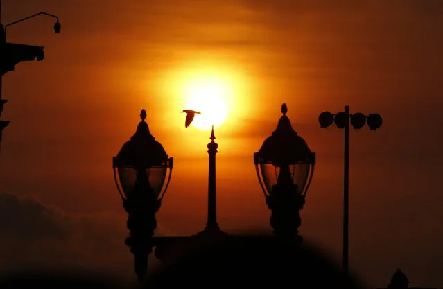 A bird is silhouetted against a sunset sky as it flies near Plaza Bolivar, in Bogota, Colombia, Wednesday, February 18, 2015. (Photo by Fernando Vergara/AP Photo)