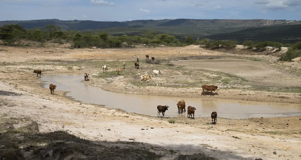 El Niño Worsens Drought in Southern Africa