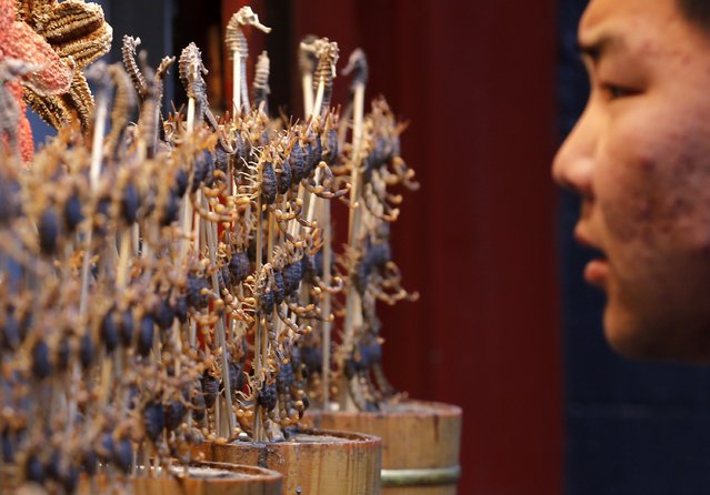 A man looks at sticks of deep-fried scorpions and seahorses displayed for sale at a food stall in Beijing November 14, 2013. The scorpions, which are fried in cooking oil, are sold for 25 yuan ($4) per stick and are commonly eaten as street snacks. (Photo by Kim Kyung-Hoon/Reuters)