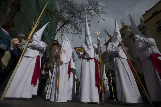 Penitents from the La Borriquita brotherhood walk during a Palm Sunday Holy week procession in Madrid, Spain, Sunday, March 29, 2015. (Photo by Paul White/AP Photo)