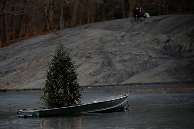 People sit on a rock behind a Christmas tree on a frozen lake on Christmas Day at Central Park in Manhattan, New York City, U.S., December 25, 2016. (Photo by Andrew Kelly/Reuters)