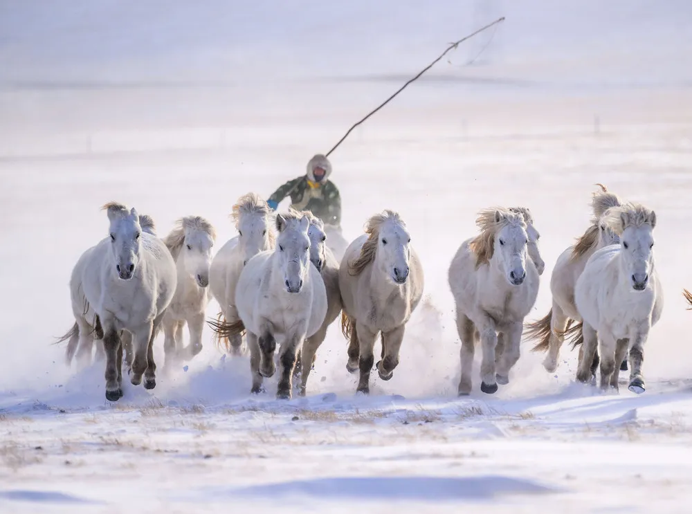 A Look at Life in China