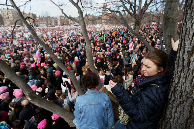 Natalie Krieg of Cambridge takes photos with her phone from a tree in Boston Common during the Boston Women's March for America on January 21, 2017 in Boston, Massachusetts. (Photo by Maddie Meyer/Getty Images)