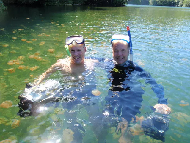 Jellyfish Lake