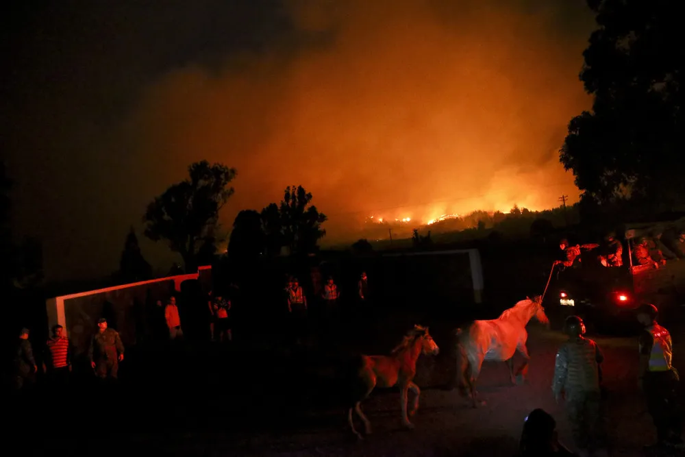 Chile Continues to Battles its Worst Wildfires
