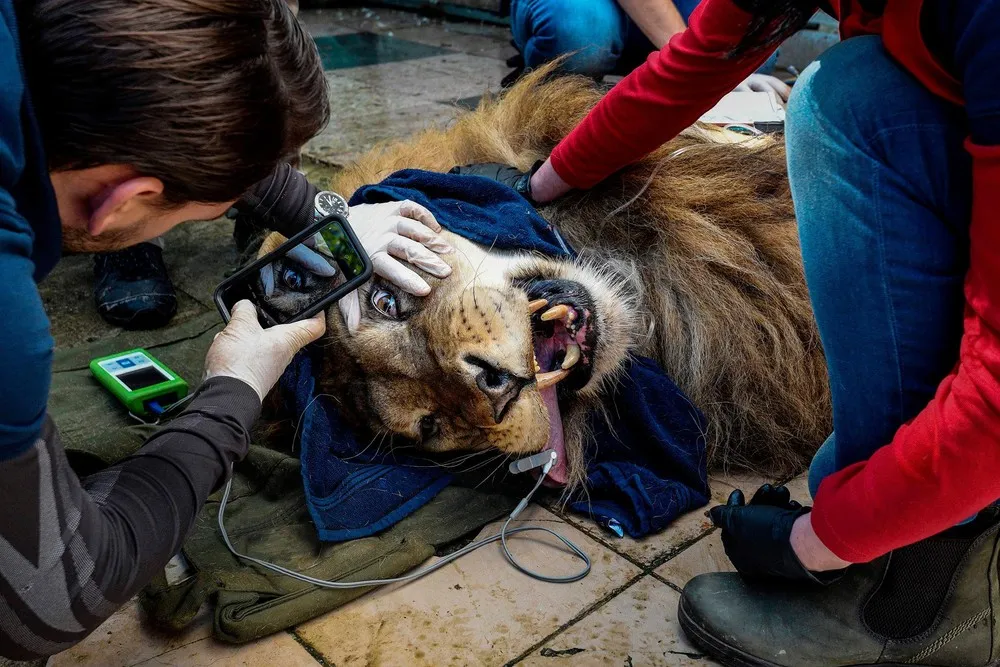 The Day in Photos – May 13, 2019