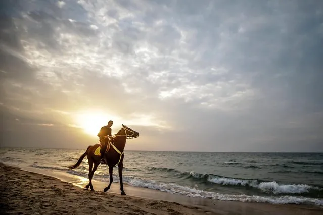 A Palestinian man rides his horse on the beach at sunset in the northern Gaza City, 18 Novemebr 2021. (Photo by Mohammed Saber/EPA/EFE)