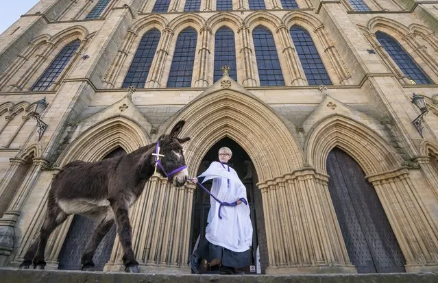 Xander Galloway-Gee leads a donkey during a photocall following the Palm Sunday Eucharist Service at Ripon Cathedral in North Yorkshire on Sunday, March 24, 2024. (Photo by Danny Lawson/PA Images via Getty Images)