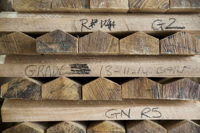 Cricket bat blades are seen marked with grades at J S Wright & Sons cricket willow suppliers in Chelmsford, Britain July 6, 2015. (Photo by Neil Hall/Reuters)