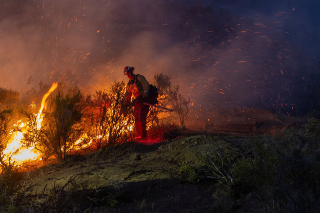 A firefighter battles the Sites fire near Lodoga, California on June 17, 2024. (Photo by Carlos Barria/Reuters)