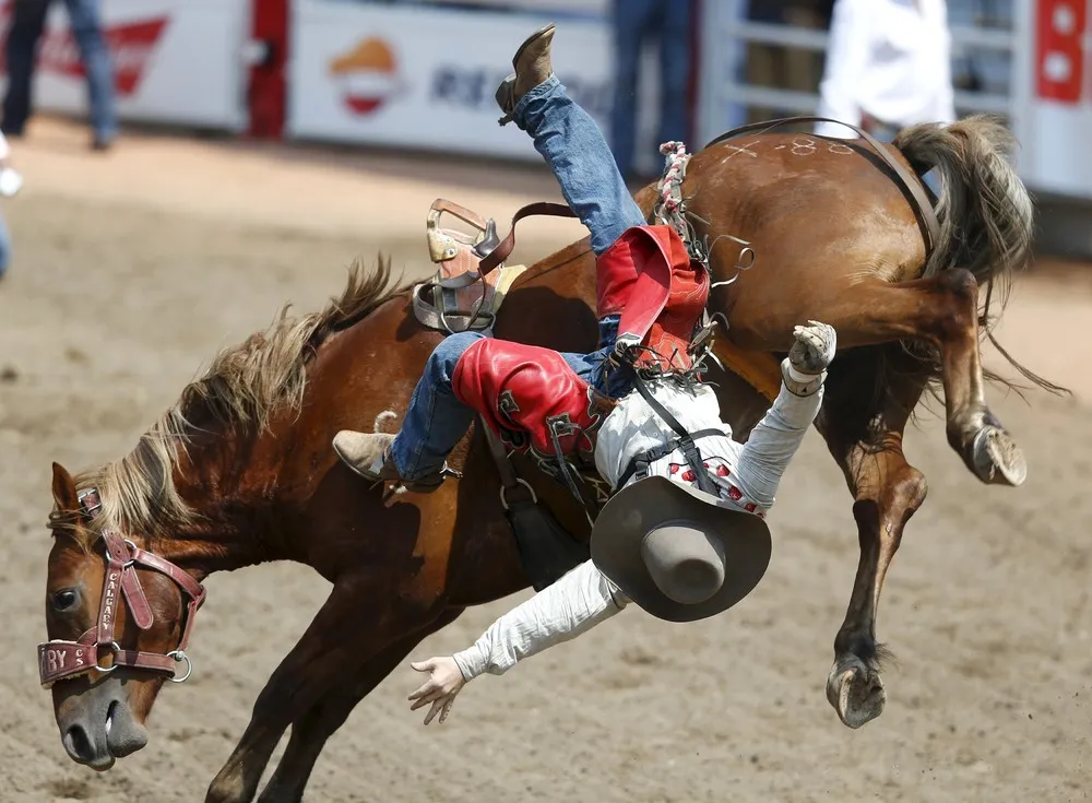 Calgary Stampede Rodeo