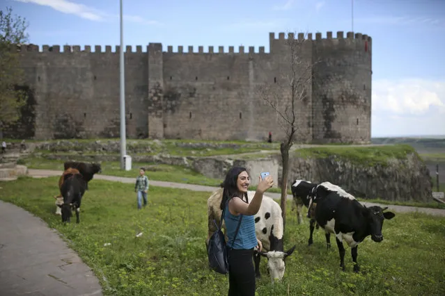 A woman takes a picture in the historic Sur district of the mainly-Kurdish city of Diyarbakir, southeastern Turkey, Monday, April 17, 2017, one day after the referendum. Turkey's main opposition party urged the country's electoral board Monday to cancel the results of a landmark referendum that granted sweeping new powers to the nation's president Recep Tayyip Erdogan, citing what it called substantial voting irregularities. (Photo by Emre Tazegul/AP Photo)