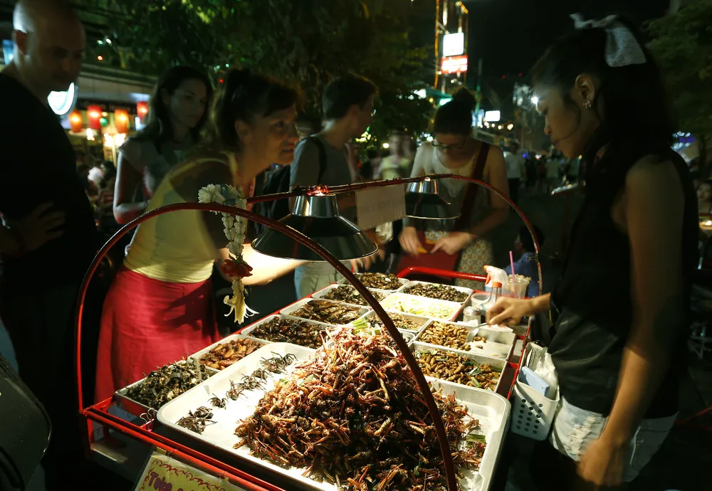 Edible Insects in Thailand