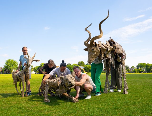 Life-size puppets of wild animals in the last decade of June 2024 rehearse for the launch of The Herds, a new project from the team behind Little Amal, the 12ft puppet of a Syrian refugee girl at Wimbledon College of Arts, London. In the public art event the puppets will journey across Europe and Africa in 2025, to represent fleeing a climate disaster. (Photo by Elliott Franks/The Times)