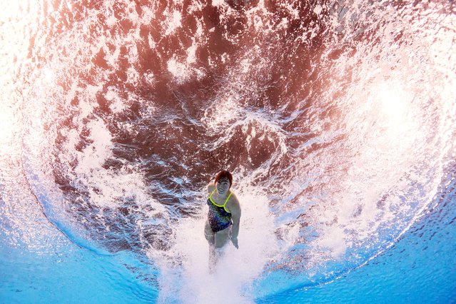 Viktoriya Kesar of Team Ukraine competes in the Women's 3m Springboard Preliminaries on day twelve of the Olympic Games Paris 2024 at Aquatics Centre on August 07, 2024 in Paris, France. (Photo by Adam Pretty/Getty Images)