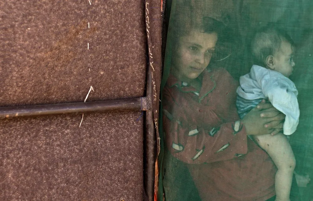 The Day in Photos – June 5, 2016