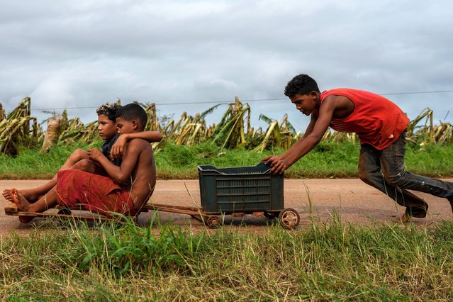 Children play on a road next to a banana plantation that was destroyed after the passage of Hurricane Rafael, in Guira de Melena, Cuba, Thursday, November 7, 2024. (Photo by Ramon Espinosa/AP Photo)