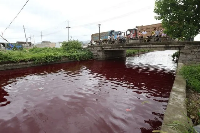 The river in Xinmeizhou village in eastern China's Zhejiang province quickly filled up with the red colored liquid which had a strange smell, according to villagers, July 25, 2014. (Photo by Reuters/Stringer)