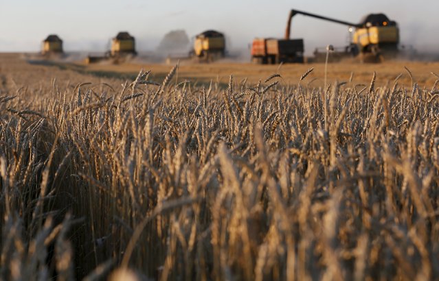 Combine harvesters work on a wheat field of the Solgonskoye farming company near the village of Talniki, southwest from Siberian city of Krasnoyarsk, Russia, August 27, 2015. (Photo by Ilya Naymushin/Reuters)