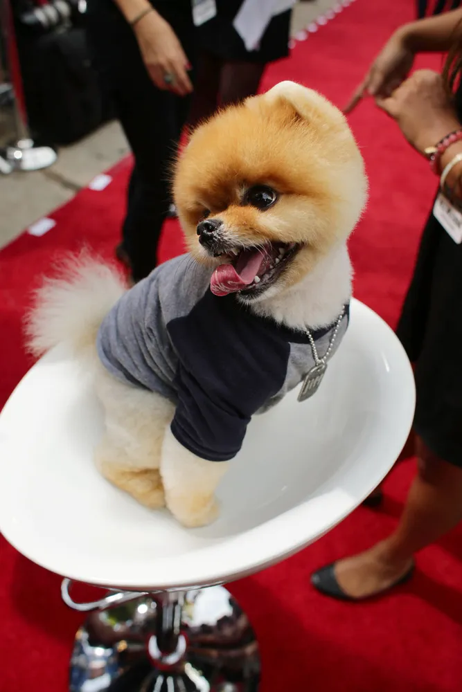 Entertainment this Week