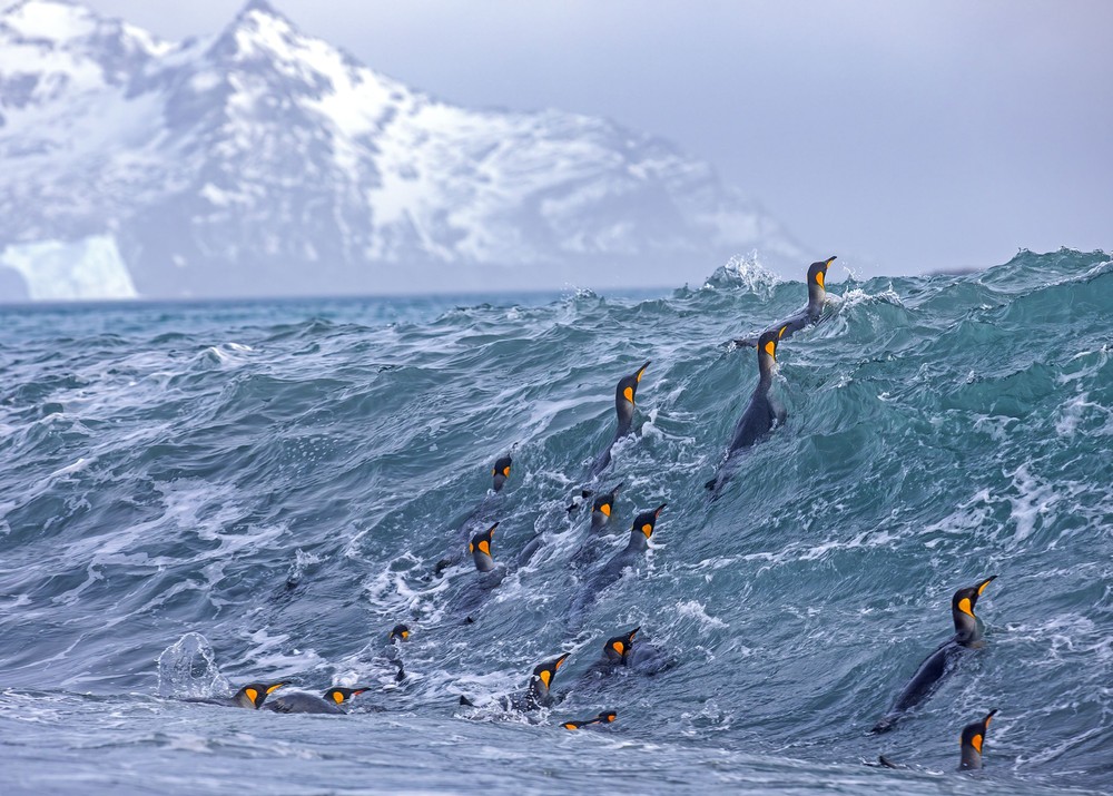 Pictures of the Year 2023, Part 208/224