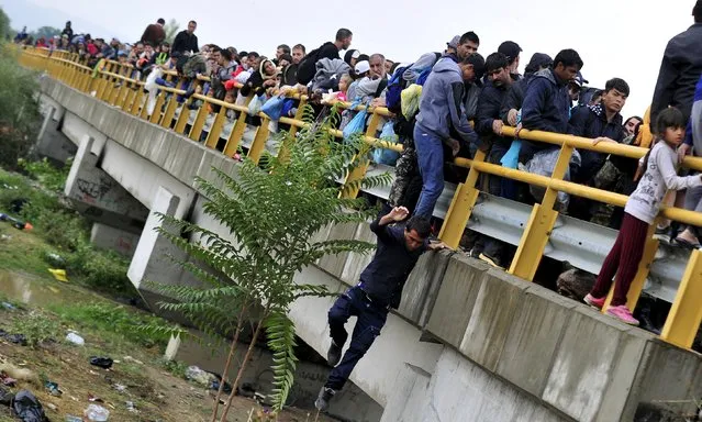 A man jumps down from a bridge, as he and other migrants try to pass police blockades in  Gevgelija, Macedonia September 10, 2015. (Photo by Tomislav Georgiev/Reuters)