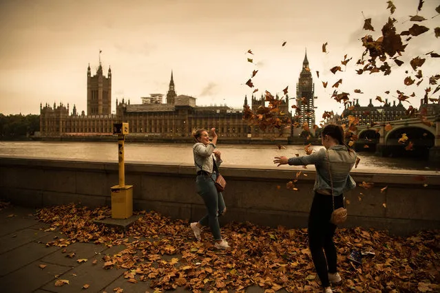 Girls throw leaves opposite the Houses of Parliament during a reddish sky caused by remnants of Hurricane Ophelia dragging in dust from the Sahara Desert, on October 16, 2017 in London, England. The hurricane comes exactly 30 years after the Great Storm of 1987 which killed 18 people and is estimated to have caused 1bn GBP in damage to property and infrastructure. (Photo by Carl Court/Getty Images