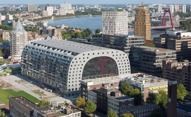 New Icon Of Rotterdam - Markthal Rotterdam