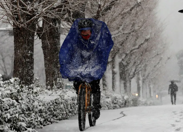 A man rides a bicycle in the heavy snow in Tokyo, Japan January 22, 2018. (Photo by Kim Kyung-Hoon/Reuters)