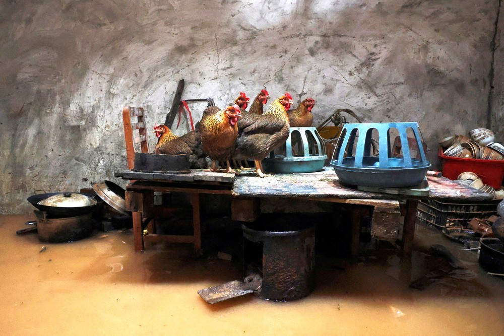 A Look at Life in China