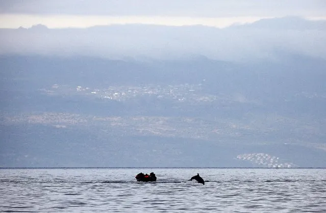 A dolphin jumps in front of a raft carrying Syrian refugees while crossing part of the Aegean Sea from Turkey (seen in the background) to the Greek island of Lesbos October 21, 2015. (Photo by Yannis Behrakis/Reuters)