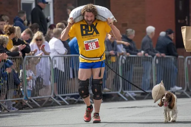 Veterans (those aged 40 and over) compete in the World Coal Carrying Championships, which took place on April 18, 2022 for the first time since the pandemic in Gawthorpe, England. (Photo by James Glossop/The Times)