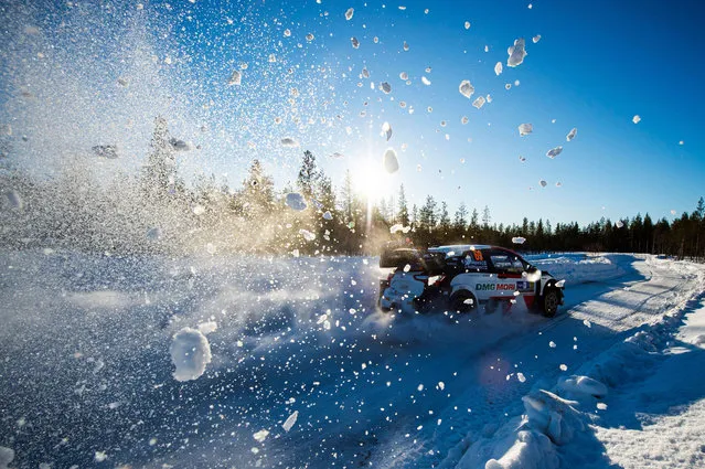 Kalle Rovanpera of Finland  and his co-driver Jonne Halttunen of Finland steer their Toyota Yaris WRC car during the 3rd stage of the Arctic Rally Finland, second round of the FIA World Rally Championship on February 27, 2021 in Mustalampi, northeast of Rovaniemi, in Finnish Lappland. (Photo by Jonathan Nackstrand/AFP Photo)