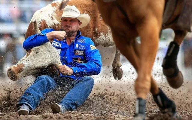 Kyle Irwin, of Robertsdale, Ala., competes in the steer wrestling event during Championship Sunday of the 122nd annual Cheyenne Frontier Days Rodeo on Sunday, July 29, 2018, at Frontier Park Arena, in Cheyenne, Wyo. (Photo by Blaine McCartney/The Wyoming Tribune Eagle via AP Photo)