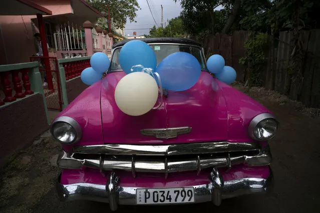 In this December 20, 2015 photo, a classic American car sits decorated with balloons before taking Daniela Santos Torres, 15, to her quinceanera party in the town of Punta Brava near Havana, Cuba. (Photo by Ramon Espinosa/AP Photo)