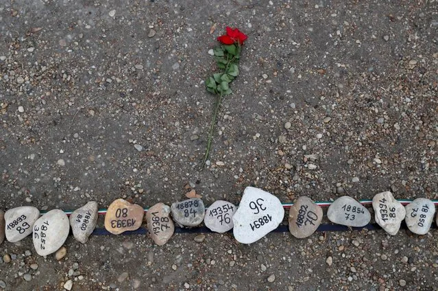 A flower lies next to the stones placed to commemorate Hungary's coronavirus disease (COVID-19) victims on Margaret Island in Budapest, Hungary, April 6, 2021. (Photo by Bernadett Szabo/Reuters)