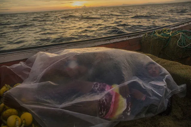 In this November 8, 2016 photo, Jorge Marval naps in his boat under a plastic sheet after fishing all night, as the sun rises off Punta de Araya, Sucre state, Venezuela. The fishing trade has collapsed, along with virtually every industry across Venezuela. (Photo by Rodrigo Abd/AP Photo)
