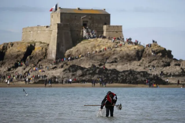 A man digs for shellfish during a record low tide in Saint Malo, western France, March 21, 2015. (Photo by Stephane Mahe/Reuters)