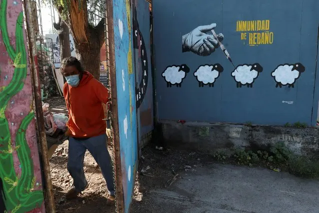 A graffiti reading “Herd immunity” is seen during the outbreak of the coronavirus disease (COVID-19) in Santiago, Chile on June 7, 2021. (Photo by Ivan Alvarado/Reuters)