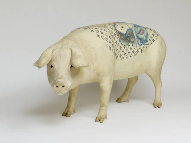 Tattooing Pigs By Wim Delvoye
