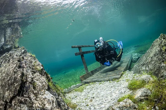 A diver crossing a bridge in the flood water. Green Lake in Tragoess, Austria. (Photo by Solnet/The Grosby Group)