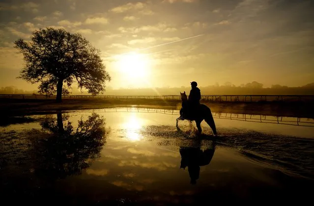 Horses on the gallops at Sam Drinkwater's Granary Stables, Strensham, Worcestershire on Wednesday, December 6, 2023. (Photo by David Davies/PA Images via Getty Images)