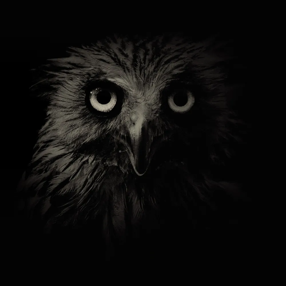 Animals in Black and White by Photographer Alex Teuscher