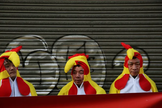 Members of the Chinese community dressed as roosters wait for the start of a parade to celebrate the Chinese Lunar New Year of the Rooster in Madrid, Spain, January 28, 2017. (Photo by Susana Vera/Reuters)