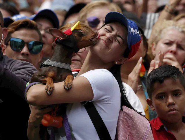 A dog licks his owner during a rally in commemoration of International Women's Day, IWD, in Caracas, Venezuela, Friday, March 8, 2019. Marches and protests are held Friday across the globe to mark IWD under the slogan #BalanceforBetter, with calls for a more gender-balanced world. (Photo by Eduardo Verdugo/AP Photo)