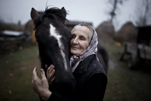 “The photograph shows Tatiana, an inhabitant of Shatsk, Ukraine with her horse. In Ukrainian villages, horses remain an indespensible work force in farm life”. (Photo and caption by Mateusz Baj/2014 Sony World Photography Awards)